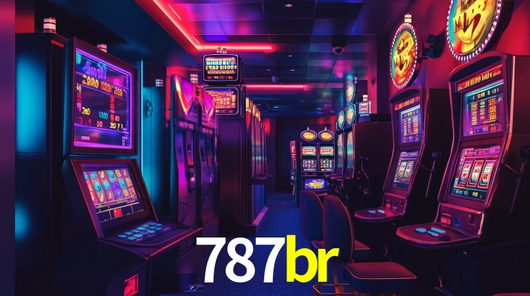 Premium Interface 787br